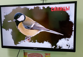 День зимующих птиц День зимующих птиц.