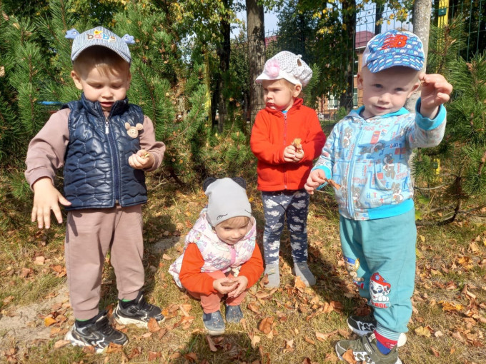 Прогулки в осеннее время Прогулки в осеннее время.